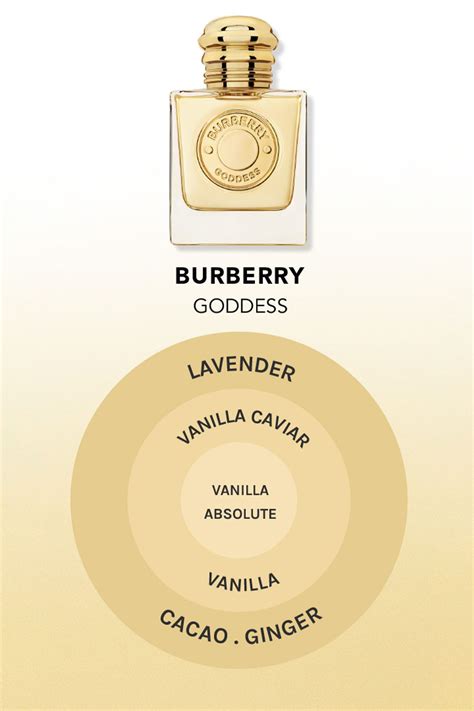 reviews of burberry perfume|what does burberry smell like.